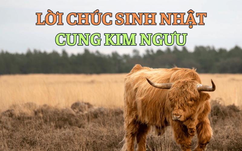 Lời chúc sinh nhật cung Kim Ngưu